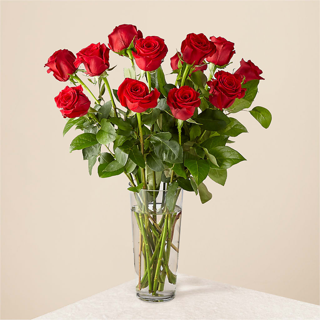 Long Stem Red Rose Bouquet – House Of Flowers, Worcester MA