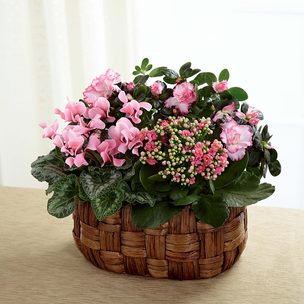 Pink Assortment – House Of Flowers, Worcester MA