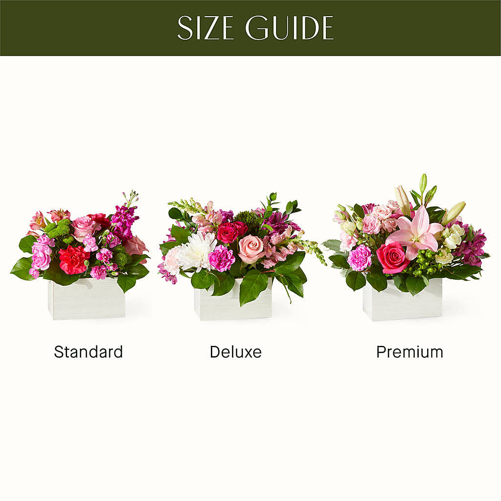 Sweetberry Box – A Florist Original – House Of Flowers, Worcester MA