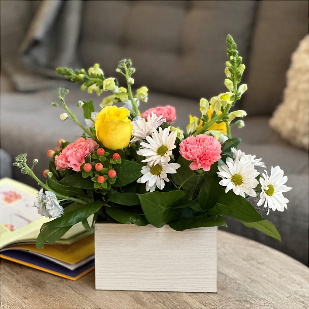 Sun Salutation Box Bouquet – House Of Flowers, Worcester MA