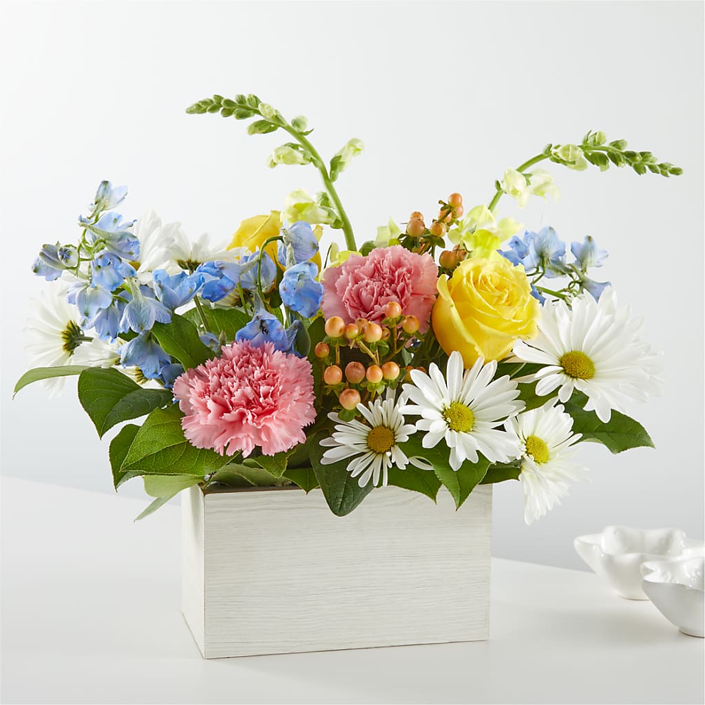 Sun Salutation Box Bouquet – House Of Flowers, Worcester MA