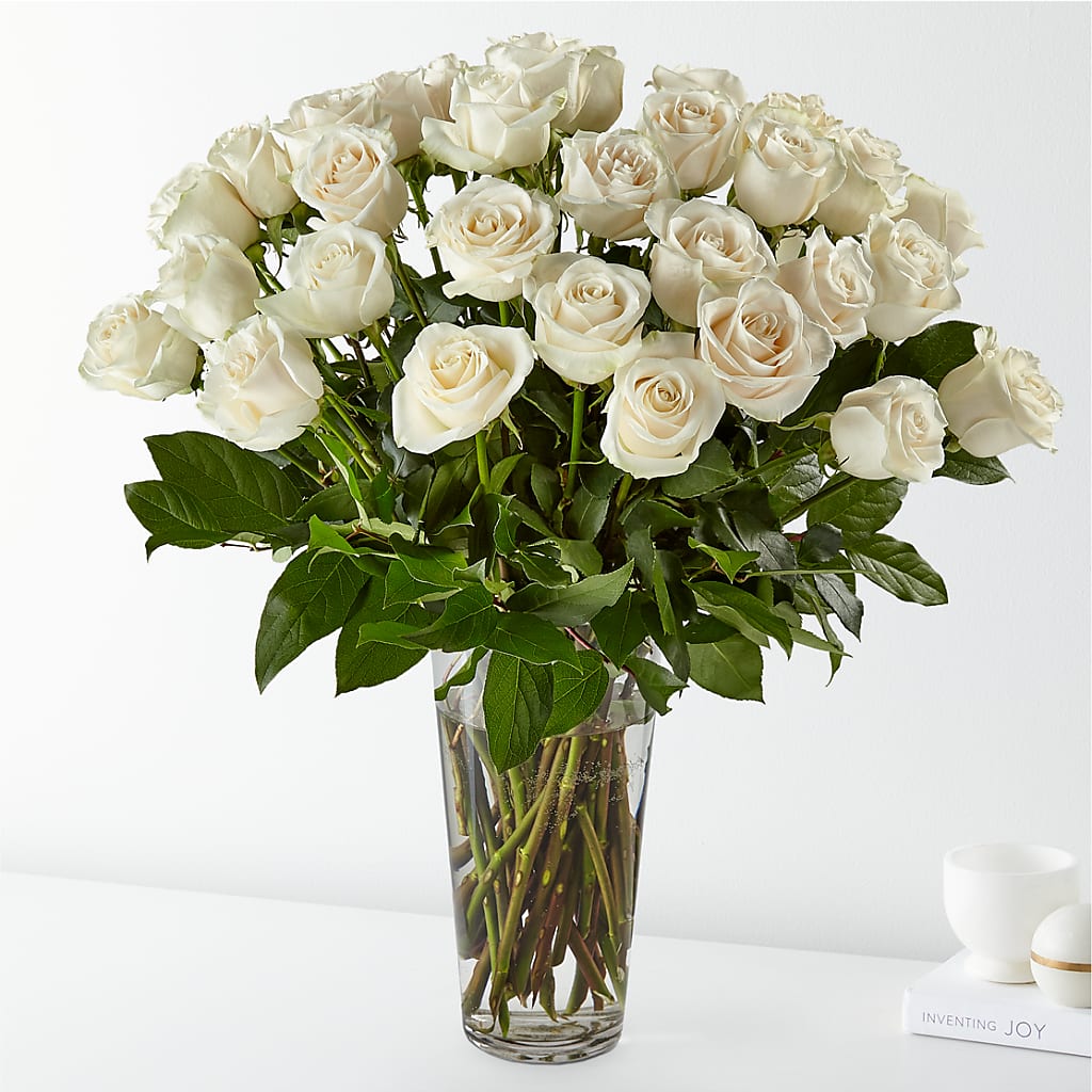 Long Stem White Rose Bouquet – House Of Flowers, Worcester MA