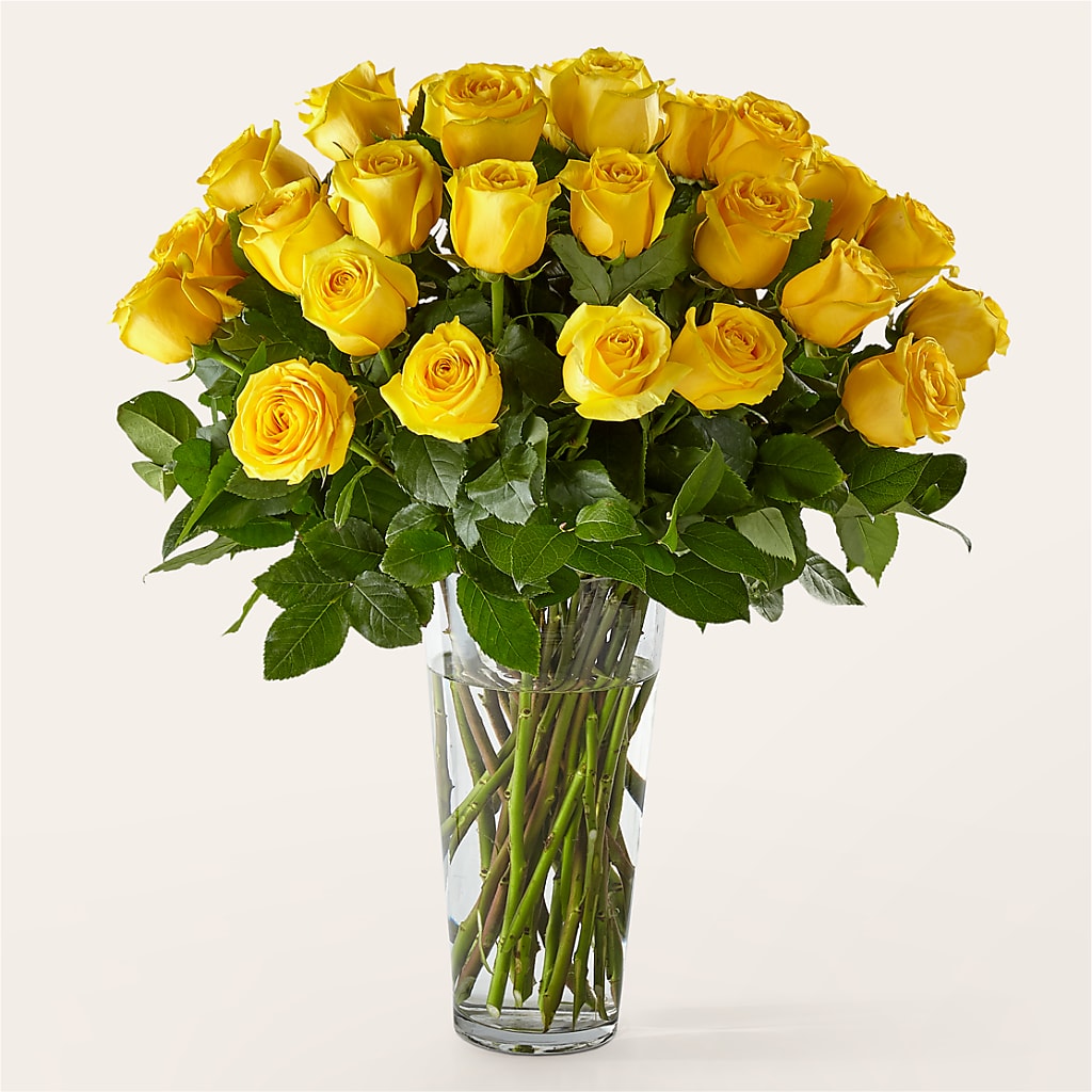 Long Stem Yellow Rose Bouquet – House Of Flowers, Worcester MA