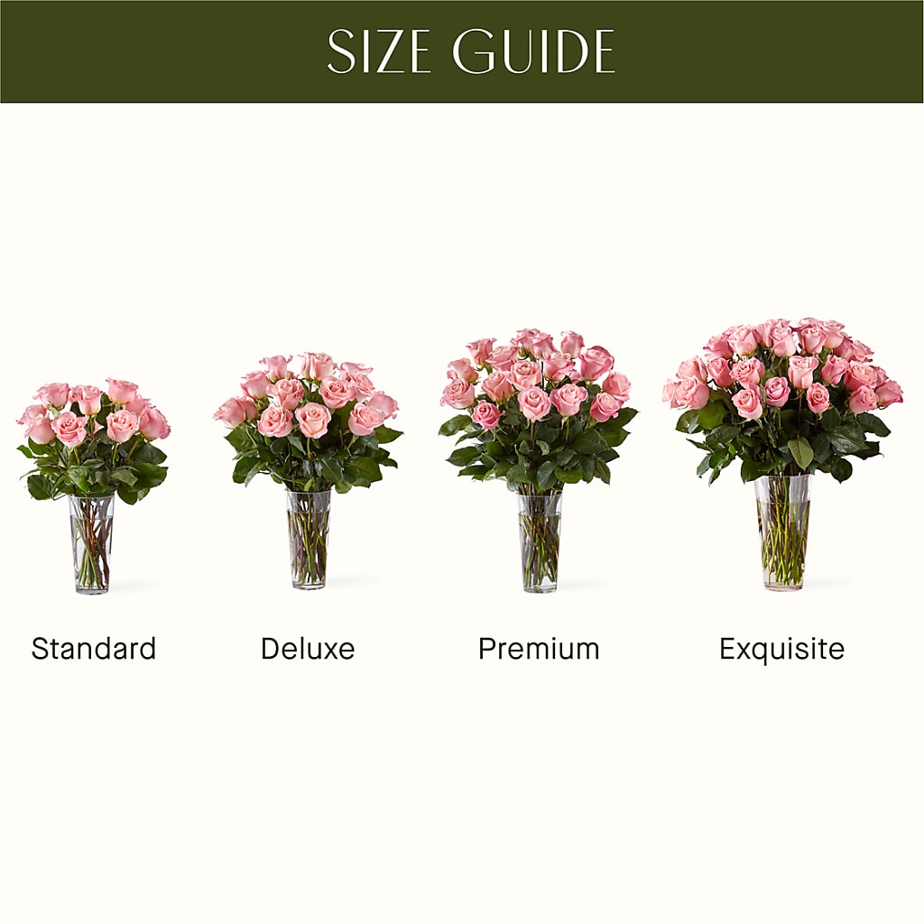 Long Stem Pink Rose Bouquet – House Of Flowers, Worcester MA