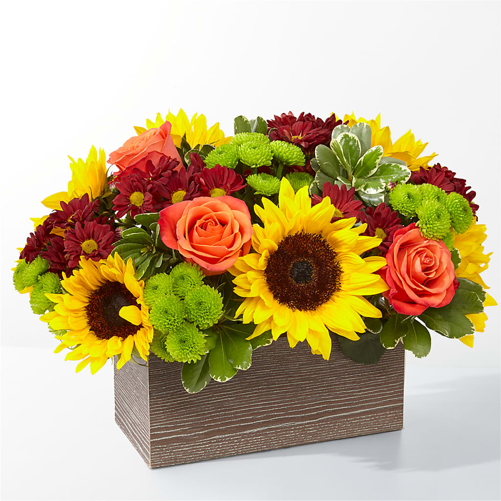 Happy Harvest Garden – House Of Flowers, Worcester MA