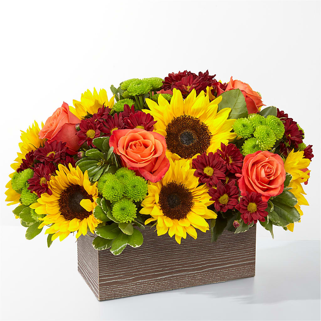 Happy Harvest Garden – House Of Flowers, Worcester MA