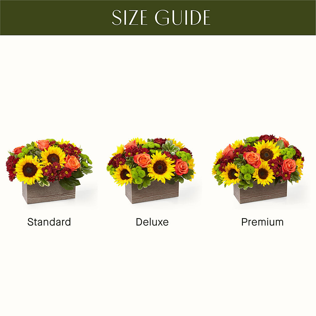 Happy Harvest Garden – House Of Flowers, Worcester MA