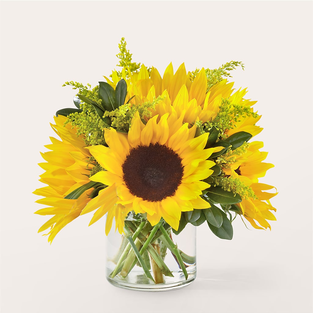 Beaming Sunflower Bouquet – House Of Flowers, Worcester MA