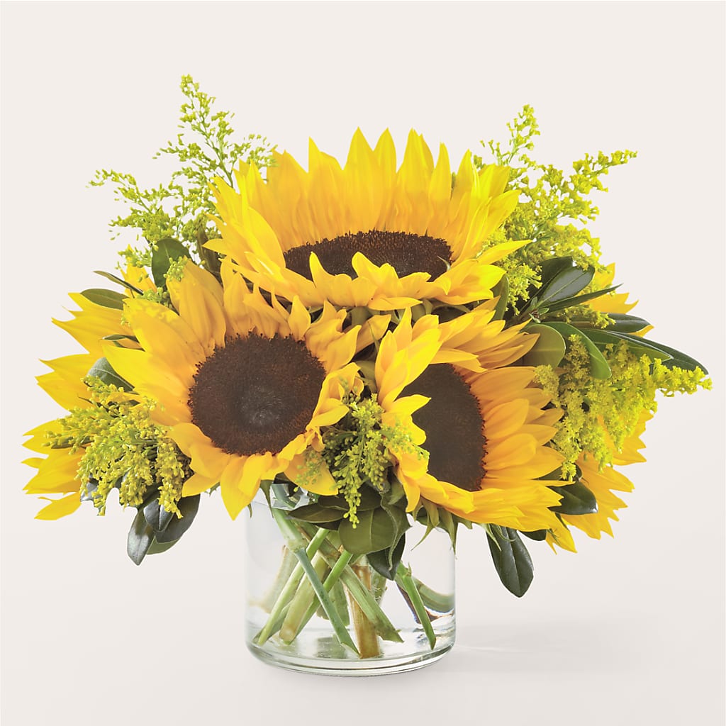 Beaming Sunflower Bouquet – House Of Flowers, Worcester MA