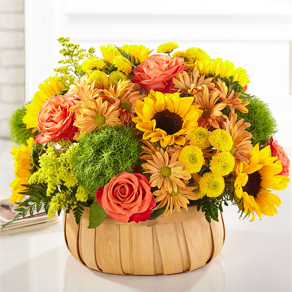 Harvest Sunflower Basket – House Of Flowers, Worcester MA
