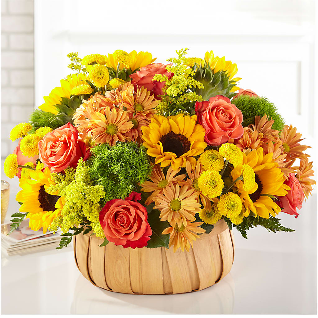 Harvest Sunflower Basket – House Of Flowers, Worcester MA