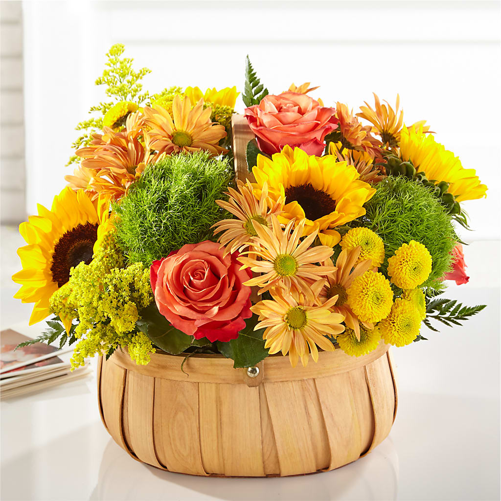 Harvest Sunflower Basket – House Of Flowers, Worcester MA