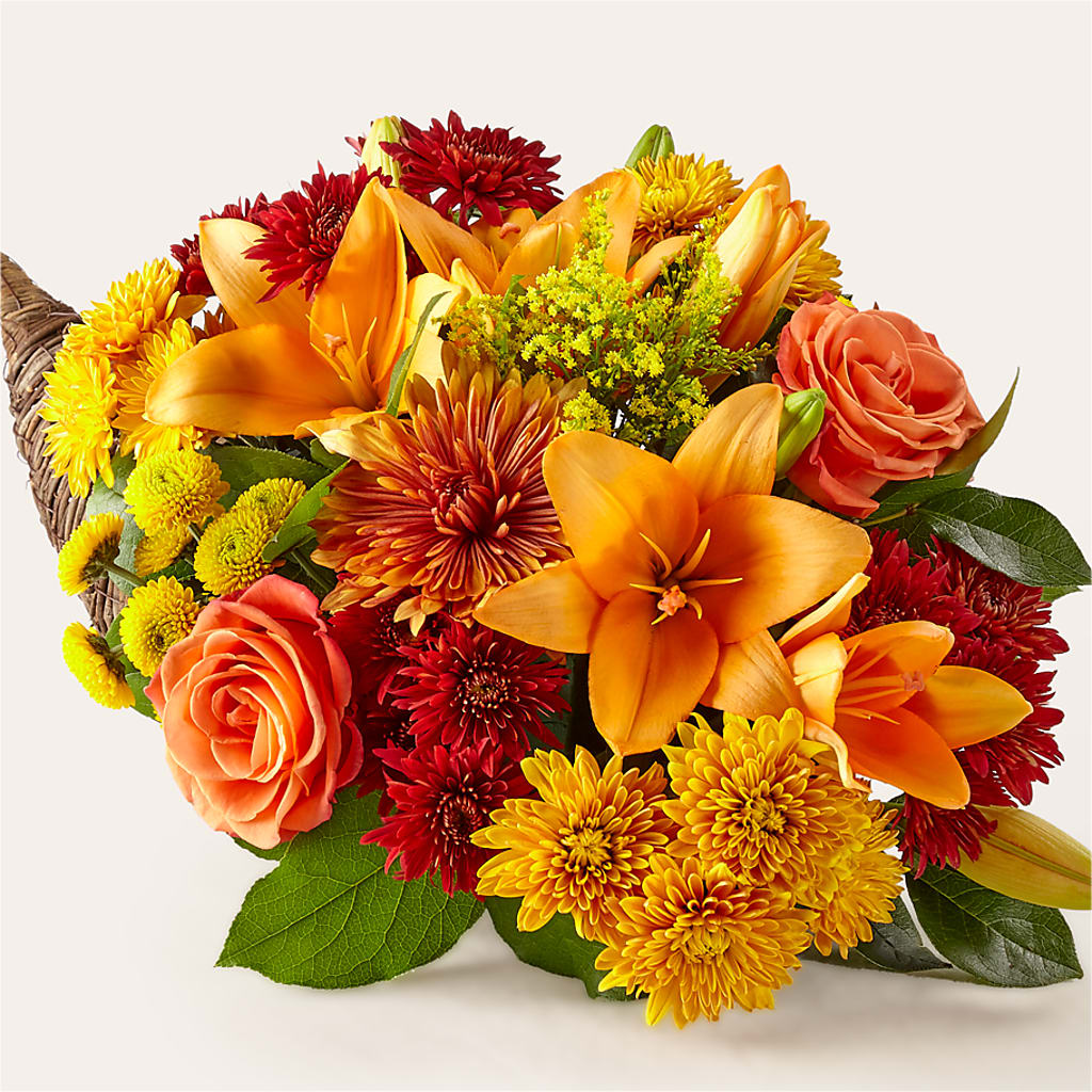 Feast of Color Cornucopia – House Of Flowers, Worcester MA