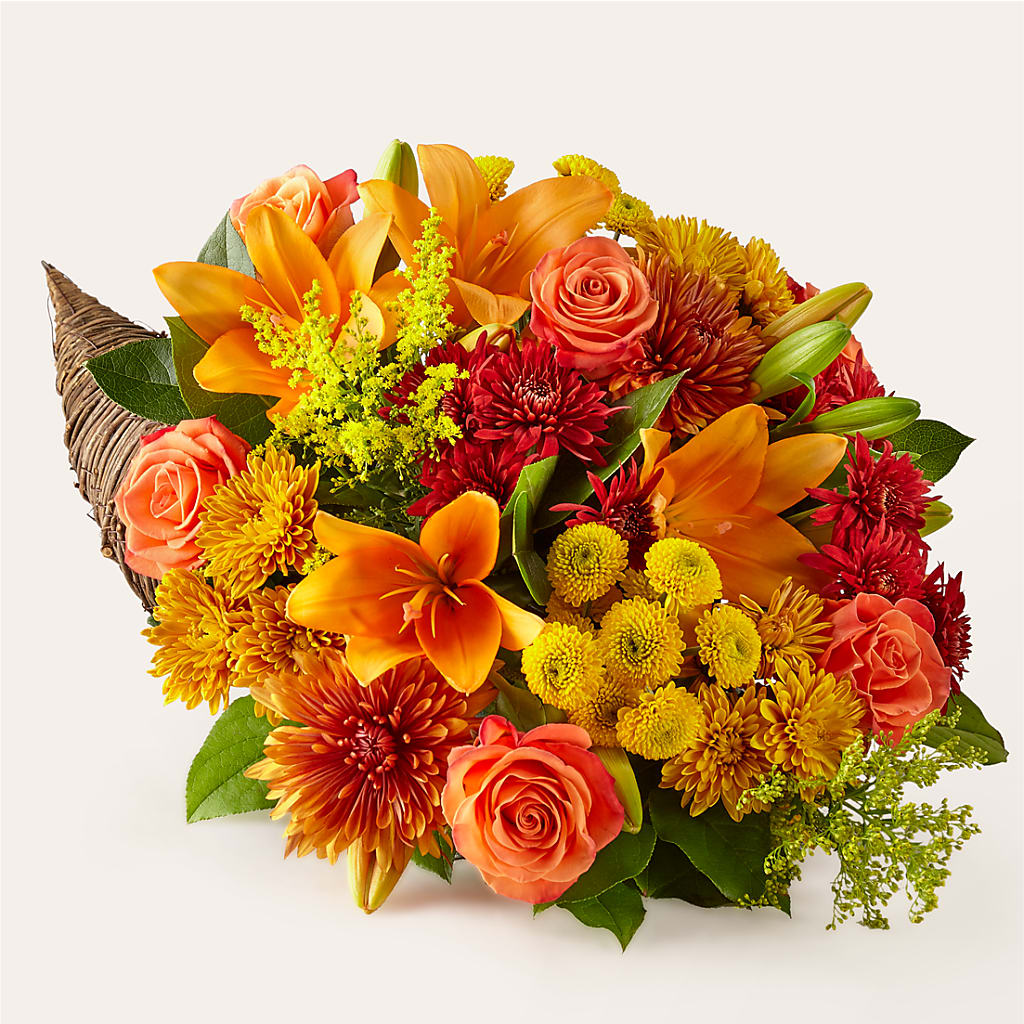 Feast of Color Cornucopia – House Of Flowers, Worcester MA