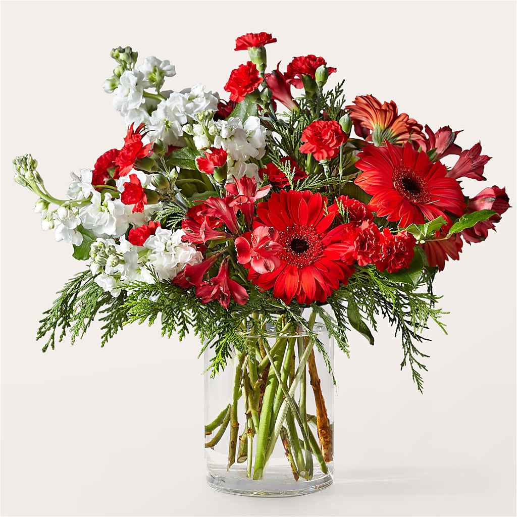 Holidaisy Bouquet – House Of Flowers, Worcester MA