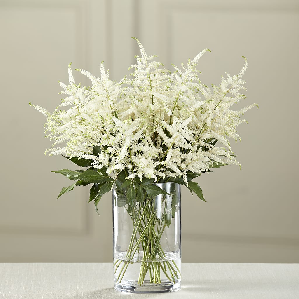 White Astilbe Bouquet – House Of Flowers, Worcester MA