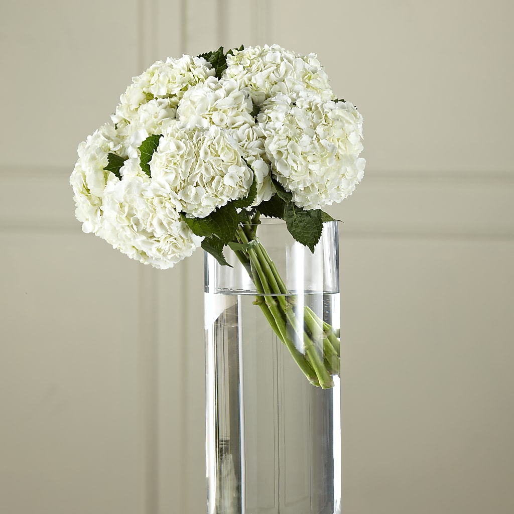 White Hydrangea Hand-Tied Bouquet – House Of Flowers, Worcester MA