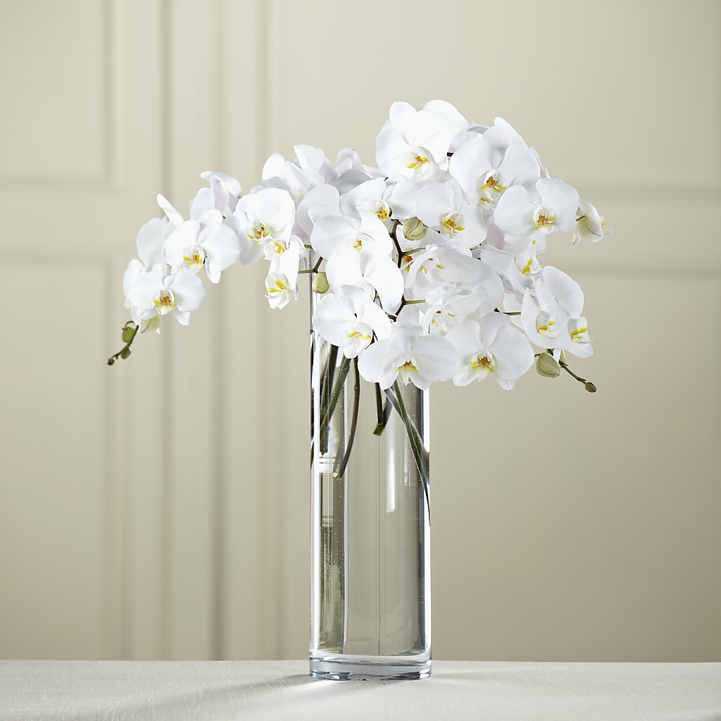 White Phalaenopsis Bouquet – House Of Flowers, Worcester MA