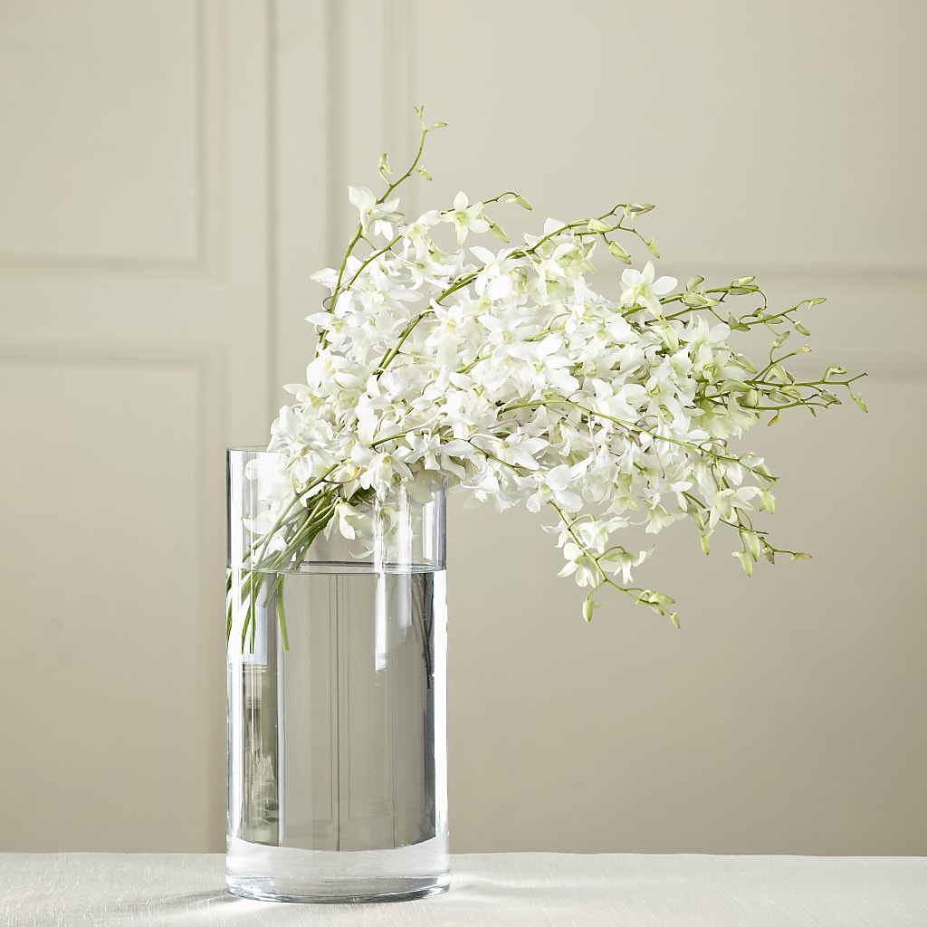 White Dendrobium Bouquet – House Of Flowers, Worcester MA