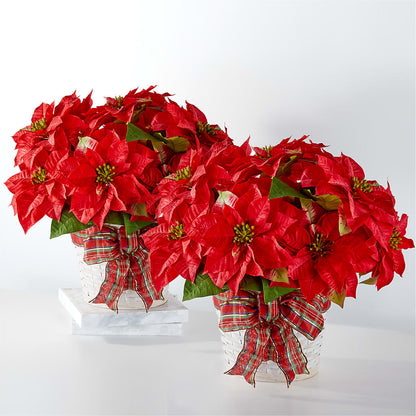 Happiest Holidays Poinsettia Bundle –  House Of Flowers, Worcester MA