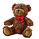 Adorable Plush Bear –  House Of Flowers, Worcester MA