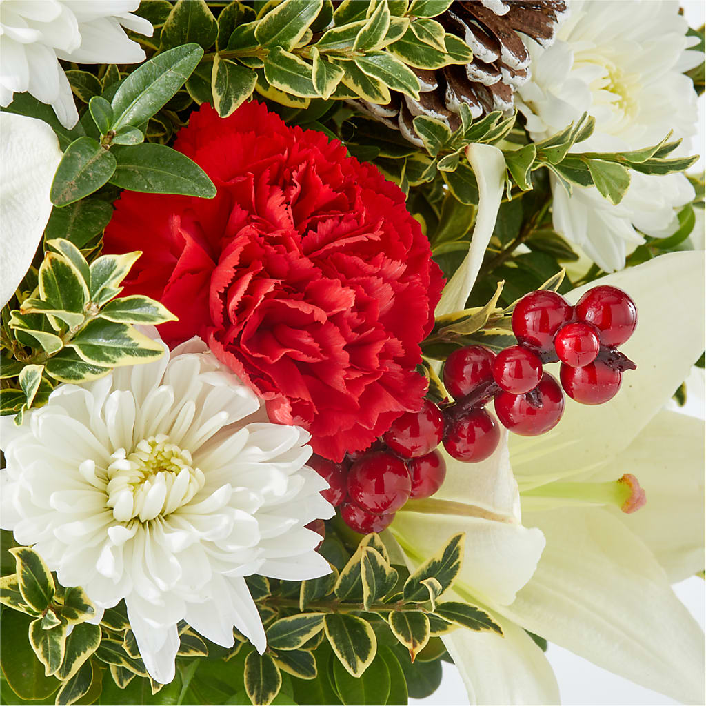 Festive Moments Tree –  House Of Flowers, Worcester MA