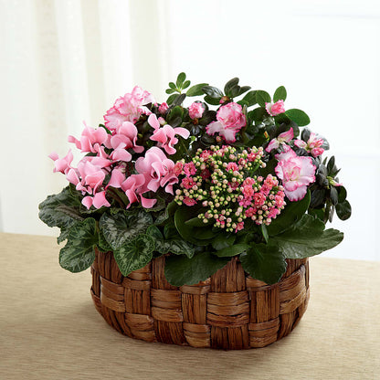 Pink Assortment –  House Of Flowers, Worcester MA