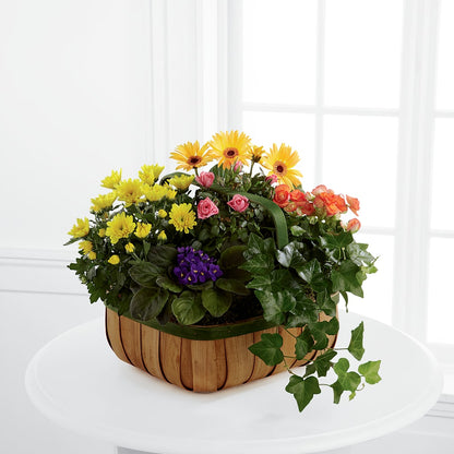 Gentle Blossoms Basket –  House Of Flowers, Worcester MA