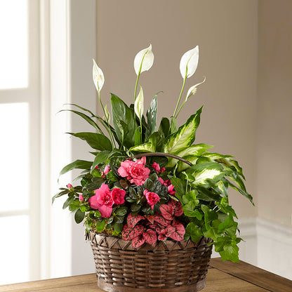 Dream in Pink Dishgarden –  House Of Flowers, Worcester MA
