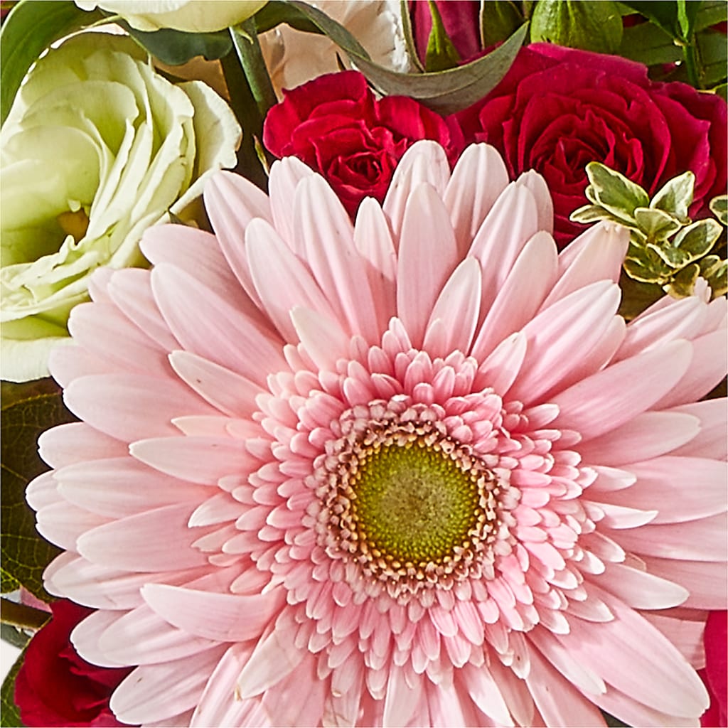 Too Cute Bouquet –  House Of Flowers, Worcester MA