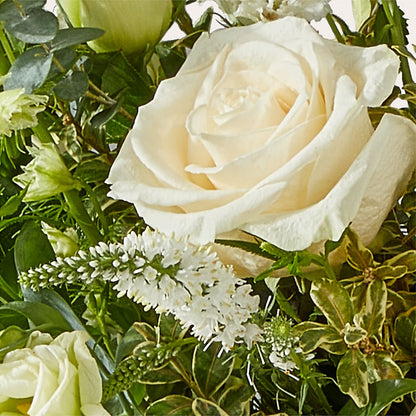 Cashmere Bouquet –  House Of Flowers, Worcester MA