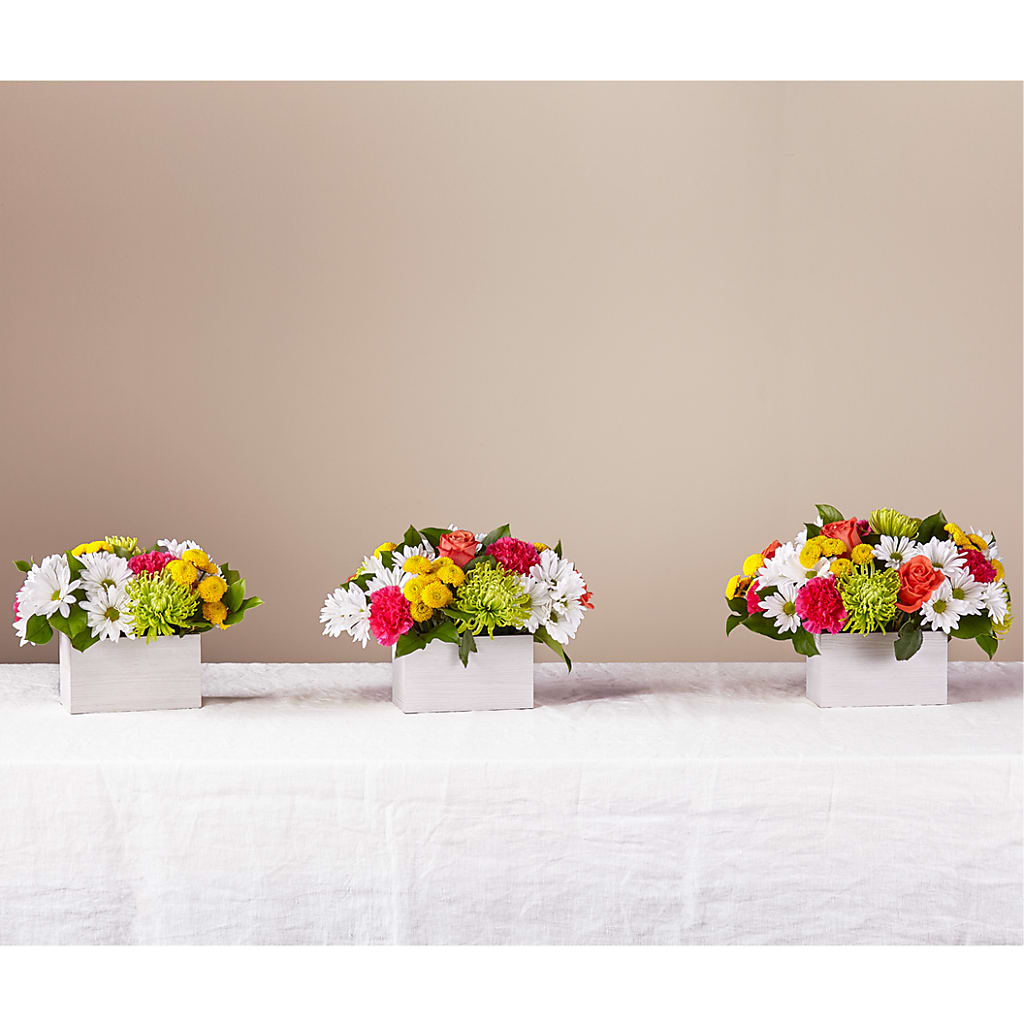 Sorbet Bouquet –  House Of Flowers, Worcester MA