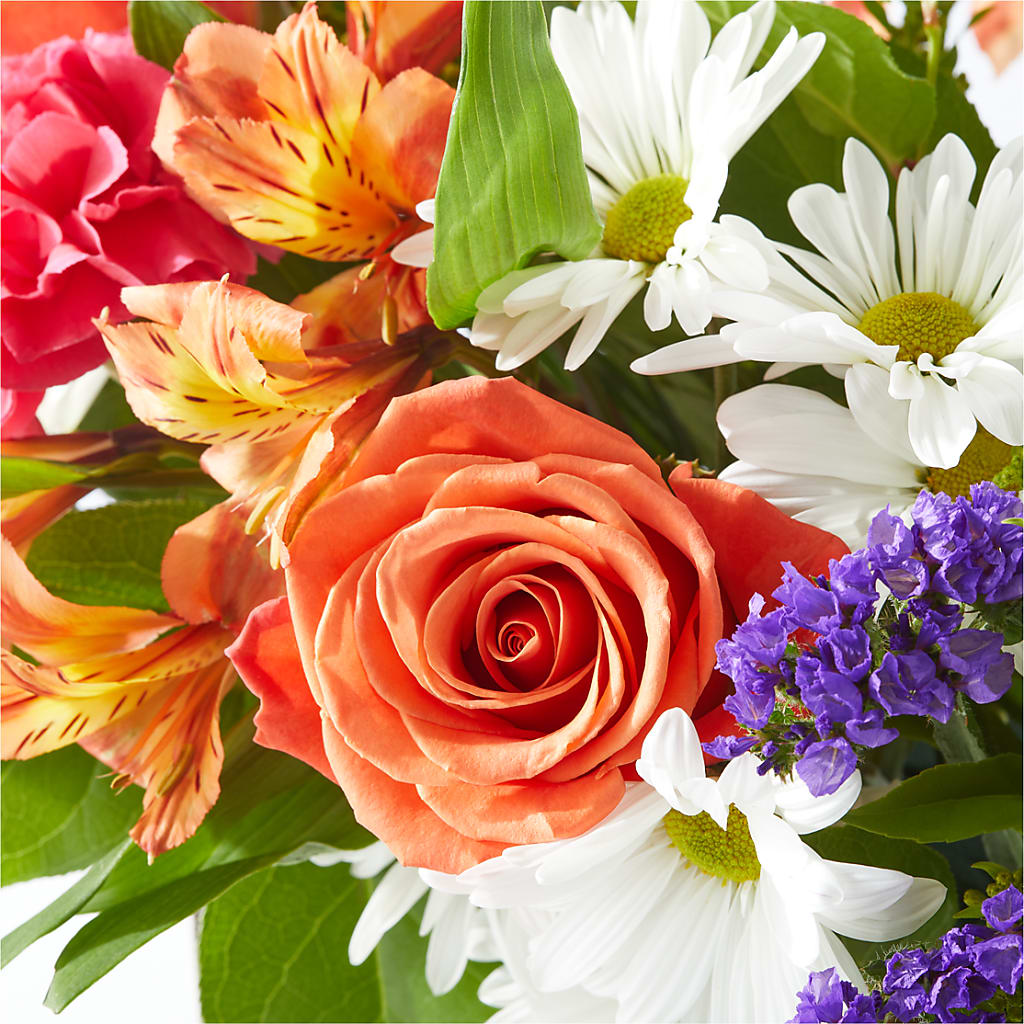 Oopsie Daisy Box Bouquet –  House Of Flowers, Worcester MA