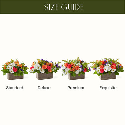 Oopsie Daisy Box Bouquet –  House Of Flowers, Worcester MA