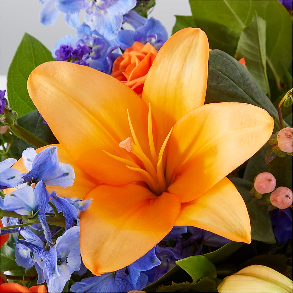 Radiant Citrus Box Bouquet –  House Of Flowers, Worcester MA