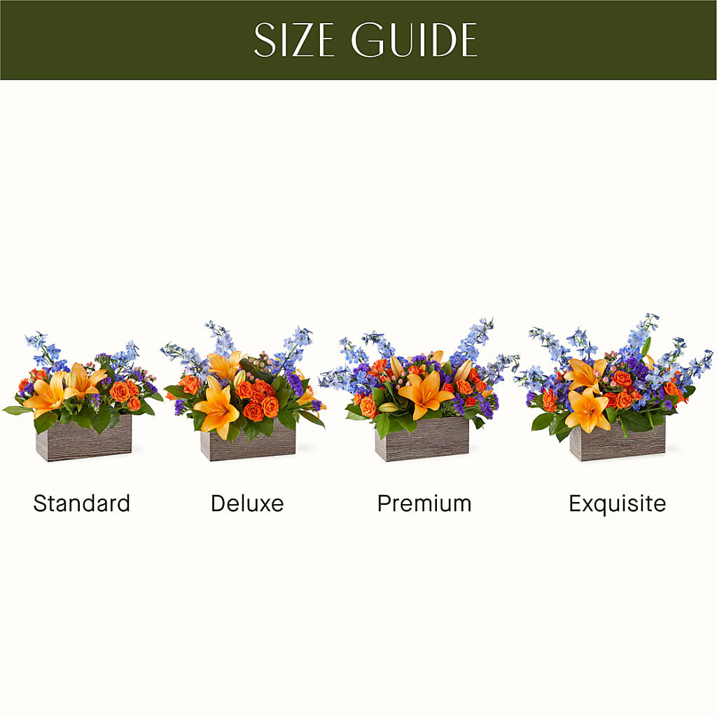 Radiant Citrus Box Bouquet –  House Of Flowers, Worcester MA