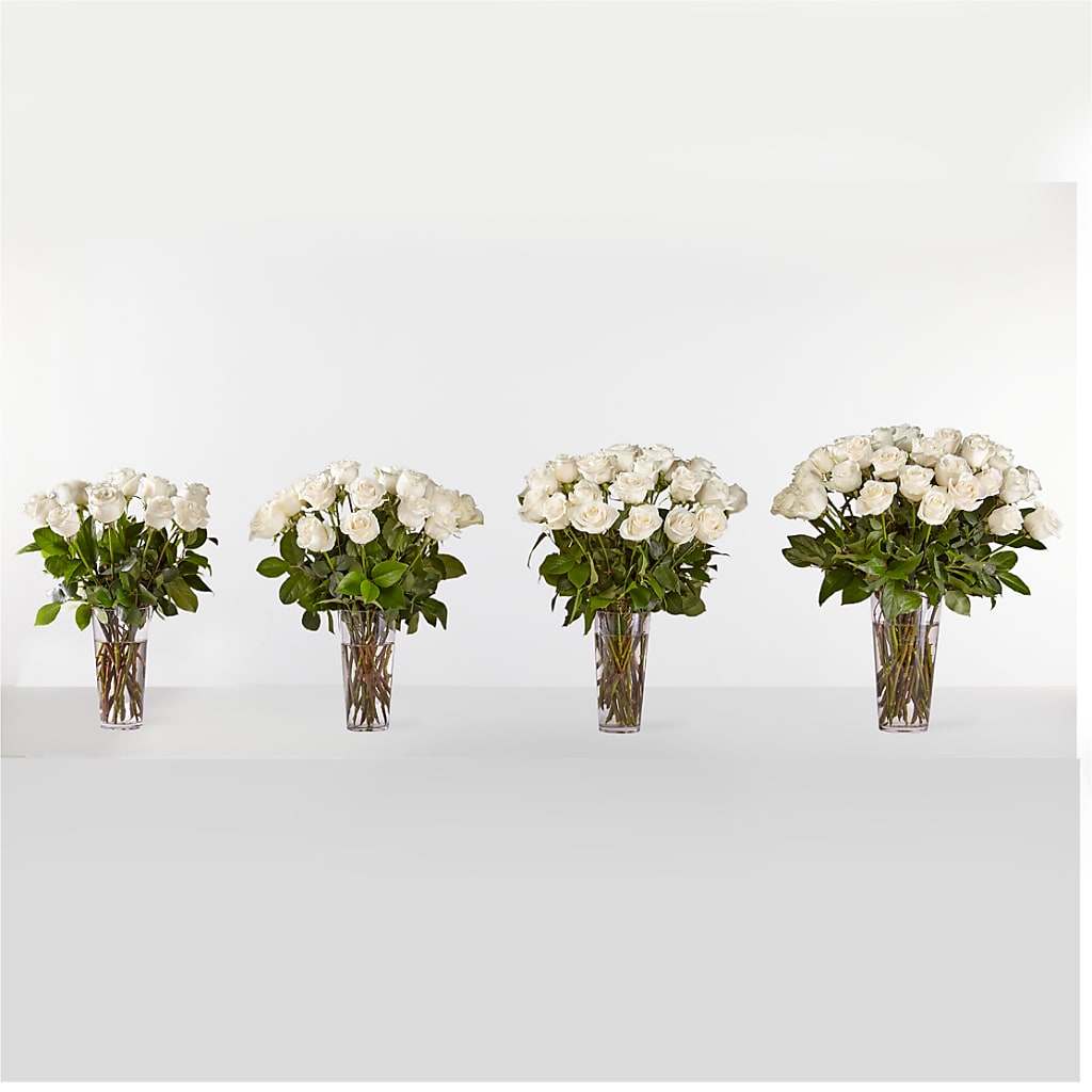 Long Stem White Rose Bouquet –  House Of Flowers, Worcester MA