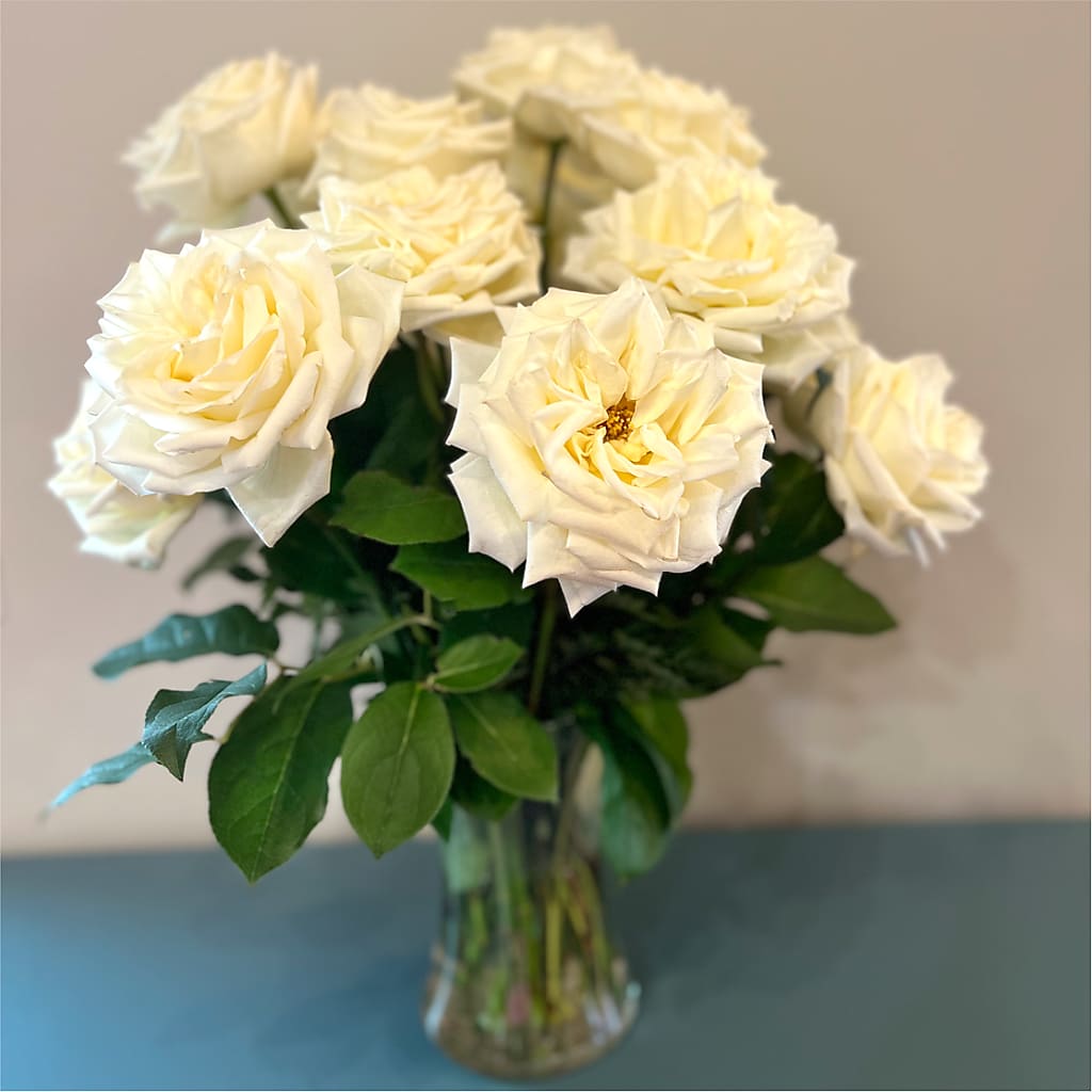 Long Stem Yellow Rose Bouquet –  House Of Flowers, Worcester MA