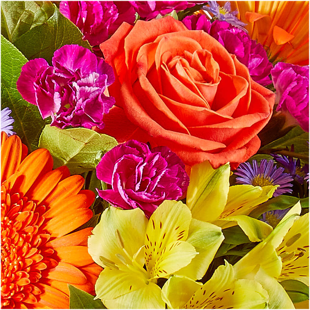 Tricks & Treats Pumpkin –  House Of Flowers, Worcester MA