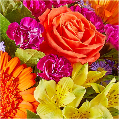 Tricks & Treats Pumpkin –  House Of Flowers, Worcester MA