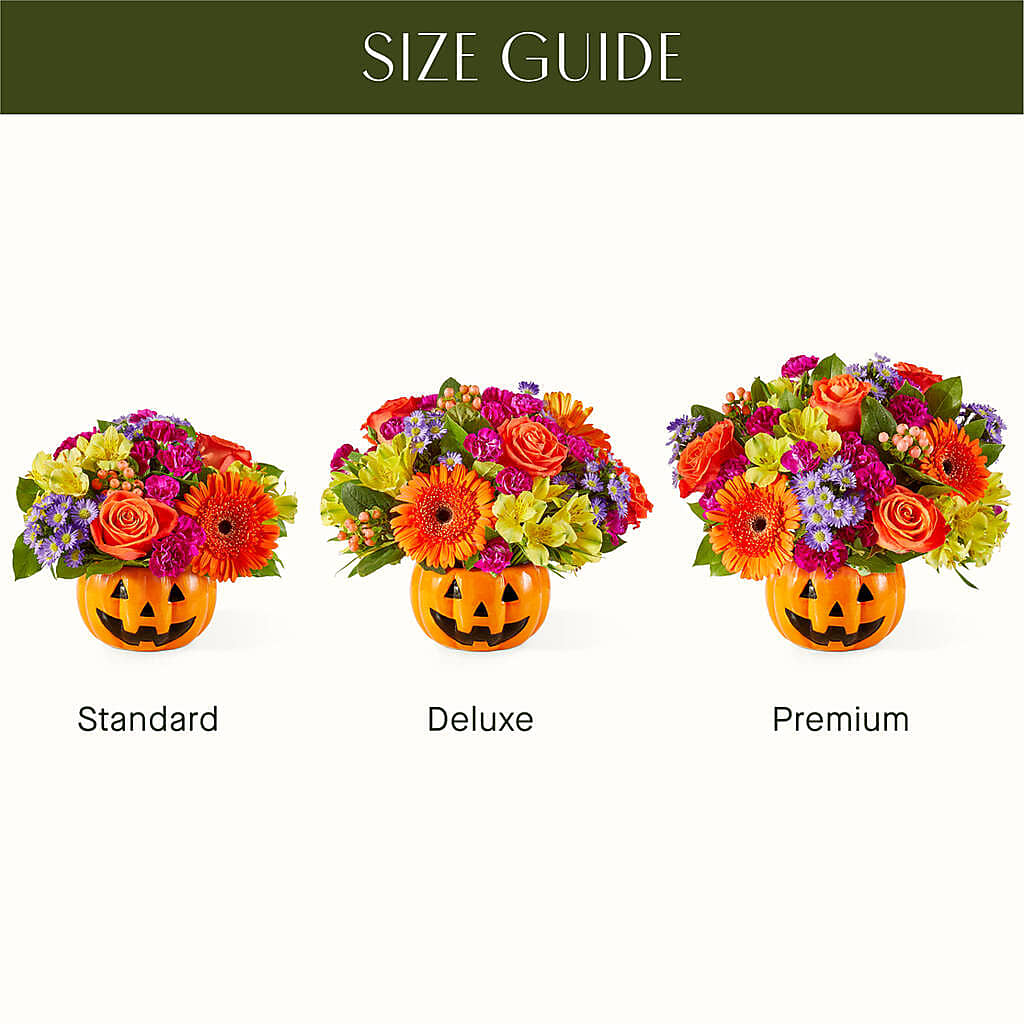 Tricks & Treats Pumpkin –  House Of Flowers, Worcester MA