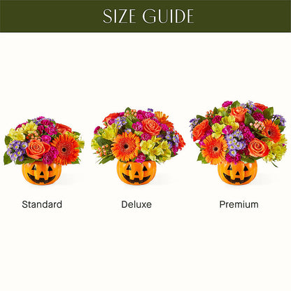 Tricks & Treats Pumpkin –  House Of Flowers, Worcester MA