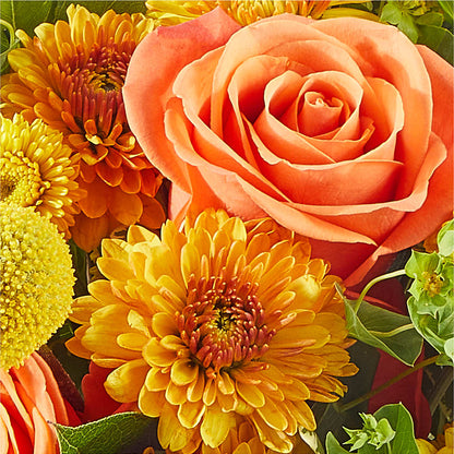 Gourdgeous Pumpkin –  House Of Flowers, Worcester MA