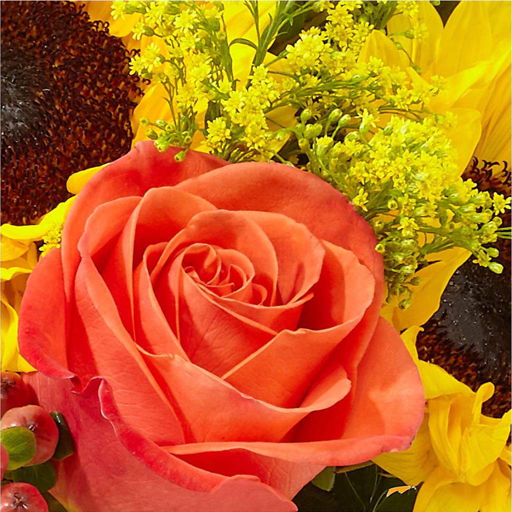 Pick of the Patch Pumpkin Bouquet –  House Of Flowers, Worcester MA