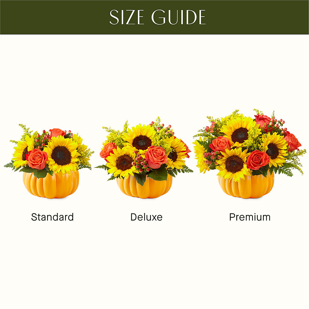 Pick of the Patch Pumpkin Bouquet –  House Of Flowers, Worcester MA