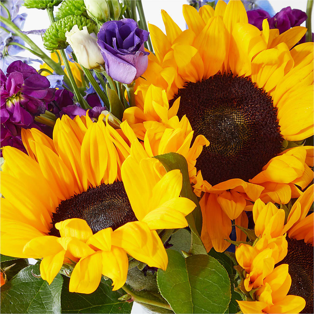 Catching Rays Bouquet –  House Of Flowers, Worcester MA