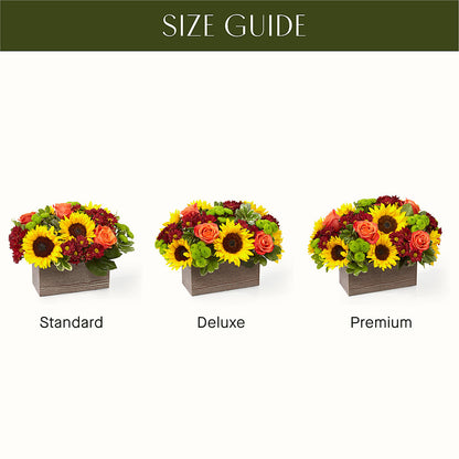 Happy Harvest Garden –  House Of Flowers, Worcester MA