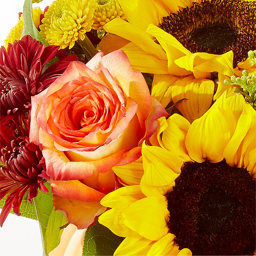 Golden Gourd Pumpkin Bouquet –  House Of Flowers, Worcester MA