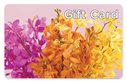 Gift Card –  House Of Flowers, Worcester MA