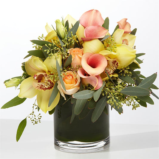 The Visionary –  House Of Flowers, Worcester MA